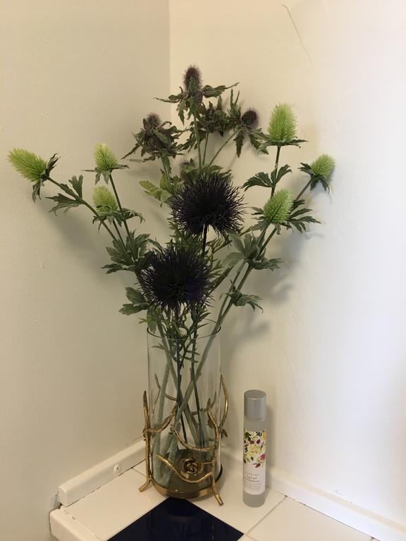 The Bothwell Bonnie Thistle Appartement Edinburgh Buitenkant foto